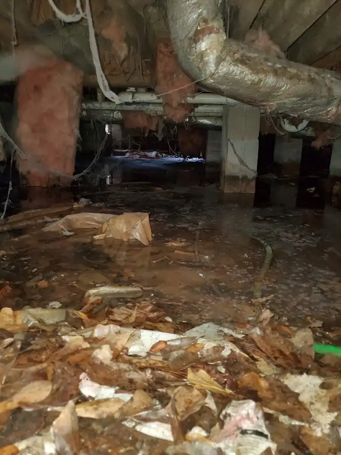 Crawl space flood assessment for Leak Detection & Repair in Garden City